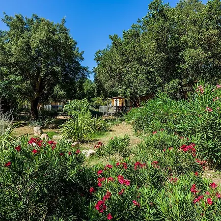 منتزه العطل Campo Di Mare 3*